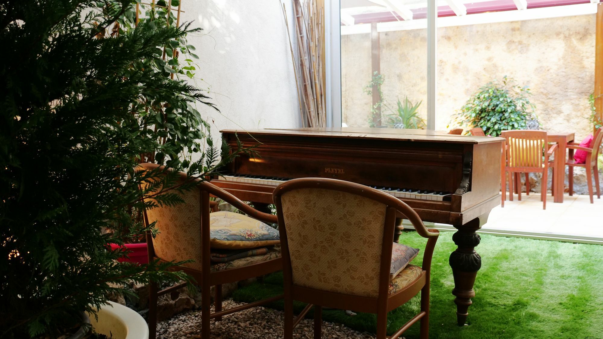 Palm 4*